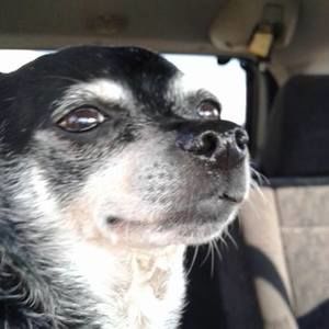 Meet your Posher, Tina